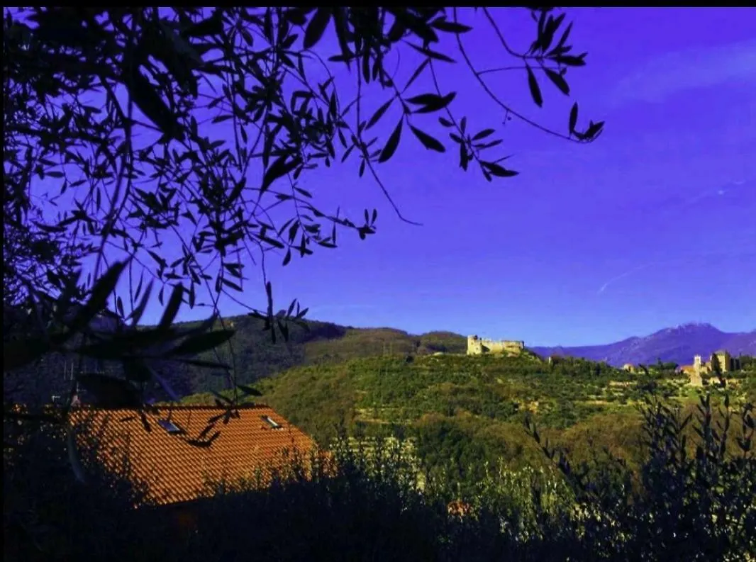 Ca Fenugia Hotel Finale Ligure 0*,  Italy